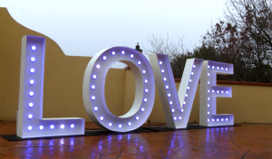 4ft Marquee Letters